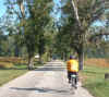 pecan street.jpg (40584 bytes)